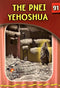 The Eternal Light: The Penei Yehoshua - Volume 91