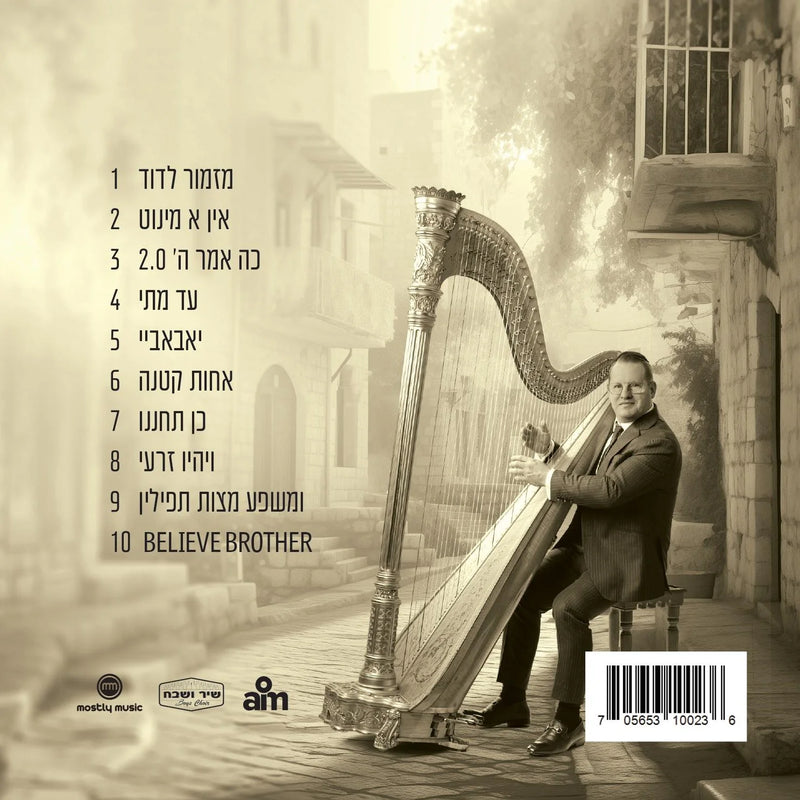 Yoel Dovid Goldstein - Mizmor L'Dovid