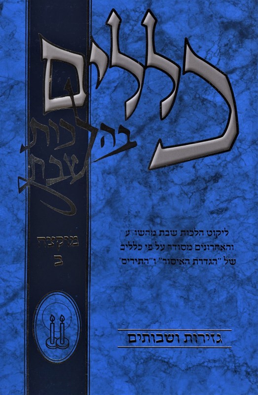 Klalim B'Halachos Shabbos Muktzeh Volume 2 - כללים בהלכות שבת מוקצה חלק ב