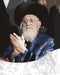 Paint By Number - The Bobover Rebbe zt"l