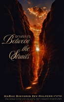Bein Hametzarim - Between The Staits