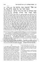 The Mishnah Elucidated