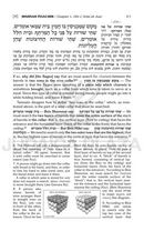 The Mishnah Elucidated