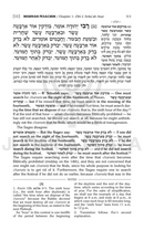 The Mishnah Elucidated