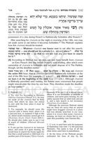 The Mishnah Elucidated