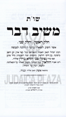 Meishiv Davar L'Rabbeinu HaNesiv - משיב דבר לרבינו הנצי"ב