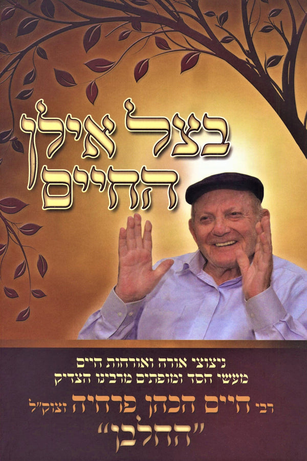 B'Tzeil Ilan HaChaim Volume 2 - בצל אילן החיים חלק ב