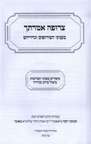 Sefer Tzerufah Imrasecha - ספר צרופה אמרתך