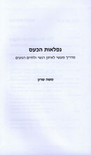 Niflaos HaKaas - נפלאות הכעס