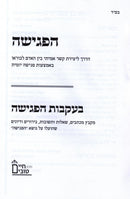 Hapegishah - הפגישה