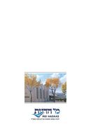Reflections on Menuchas Hanefesh