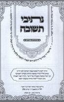 Nesivei HaTeshuvah - נתיבי תשובה