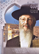 Sefer Maskil L'Dovid (Shneaur) - ספר משכיל לדוד (שניאור)