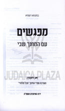 Mafgishim Im HaM'Chanech Shevi - מפגשים עם המחנך שבי