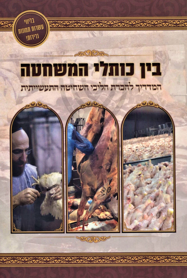 Bein Koslei HaMeshchata - בין כותלי המשחטה