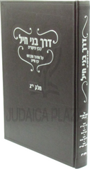 Derech Bnei Chayil Kovetz Shiurim Al HaSefer HaKodesh Al Eitz Chaim Volume 13 - דרך בני חיל קובץ שיעורים על הספר הקדוש עץ חיים חלק י"ג