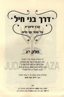 Derech Bnei Chayil Kovetz Shiurim Al HaSefer HaKodesh Al Eitz Chaim Volume 13 - דרך בני חיל קובץ שיעורים על הספר הקדוש עץ חיים חלק י"ג