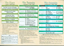 Timeline of Jewish History From Creation Until The Holocaust Chart - Laminated