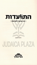 Hisvaadus R' Shneur Zalman Gopin - התוועדות ר' שניאור זלמן גופין