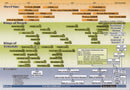 Timeline of Nevi'im And Melachim: Laminated - Small