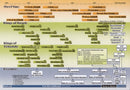 Timeline of Nevi'im And Melachim Chart: Laminated - Small