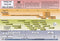 Timeline of Nevi'im And Melachim Chart: Laminated - Small