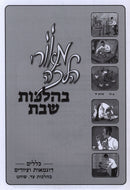 Meorei Halachah B'Hilchos Shabbos Sad / Shochet - מאורי הלכה בהלכות שבת צד / שוחט