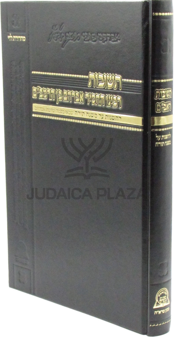 Teshuvos Rabbeinu HaChassid Avraham Ben HaRambam - תשובות רבינו החסיד אברהם בן הרמב"ם