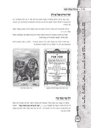 Hayu Devarim M'Olam Volume 2 - היו דברים מעולם חלק ב