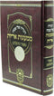 Haggadah Shel Pesach Mimaonos Arayos Oz Vehadar - הגדה של פסח ממעונות אריות עוז והדר
