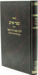 Biur Sefer Iyov Tinyana - ביאור ספר איוב תנינא