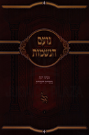 Noam HaNeshamos Volume 1 - נועם הנשמות חלק א