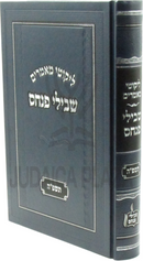 Likutei Maamarim Shvilei Pinchas 5785 - ליקוטי מאמרים שבילי פנחס תשפ"ה