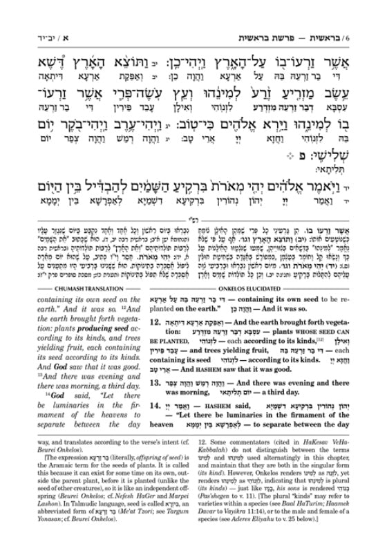 Zichron Meir Edition of Targum Onkelos