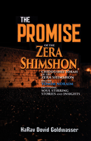The Promise of the Zera Shimshon - Yomim Noraim