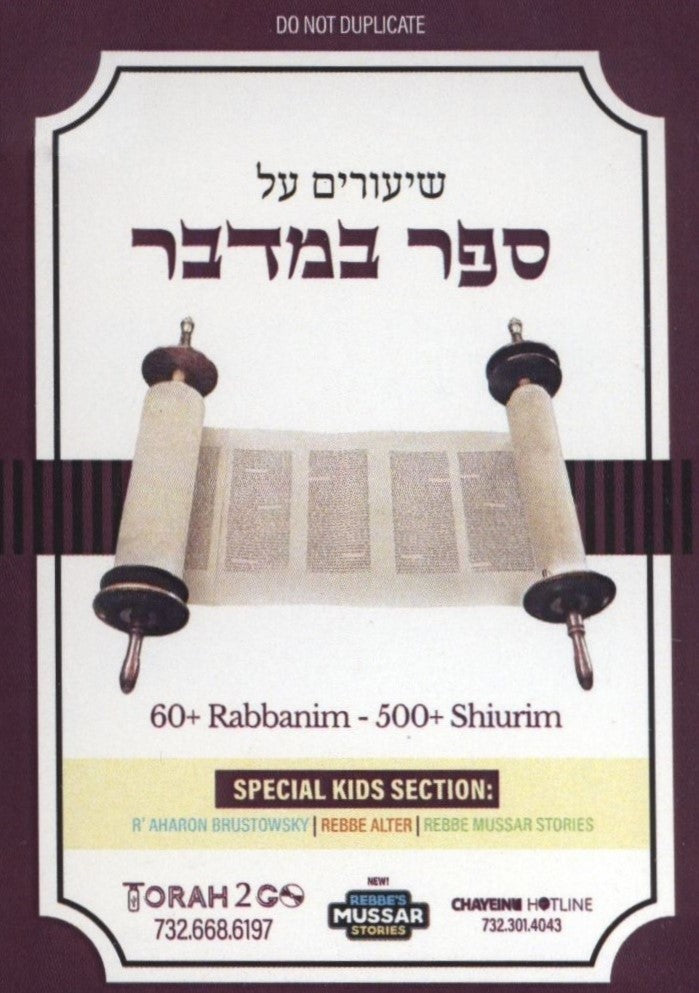 Torah 2 Go: Shiurim on Sefer Bamidbar (USB)