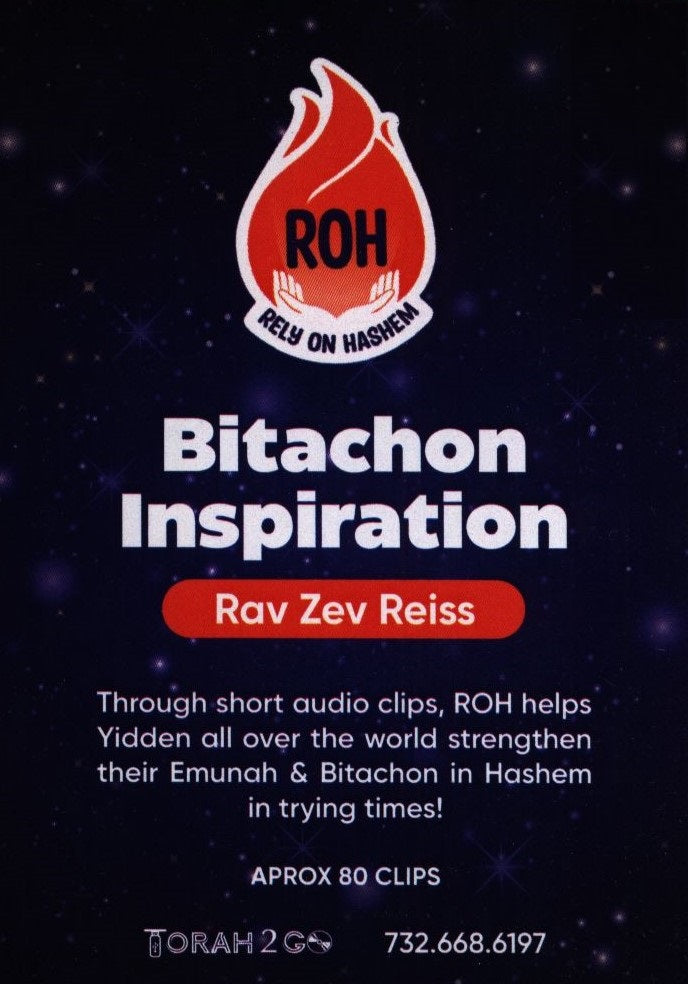 Torah 2 Go: Bitachon Inspiration (USB)