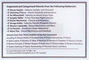 Yam Shel Shiurim (USB)