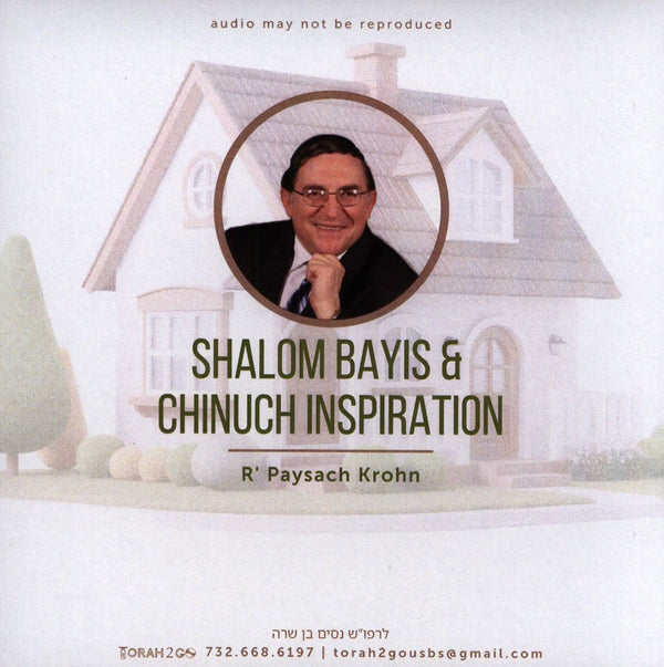 Torah 2 Go: Shalom Bayis and Chinuch Inspiration (USB)