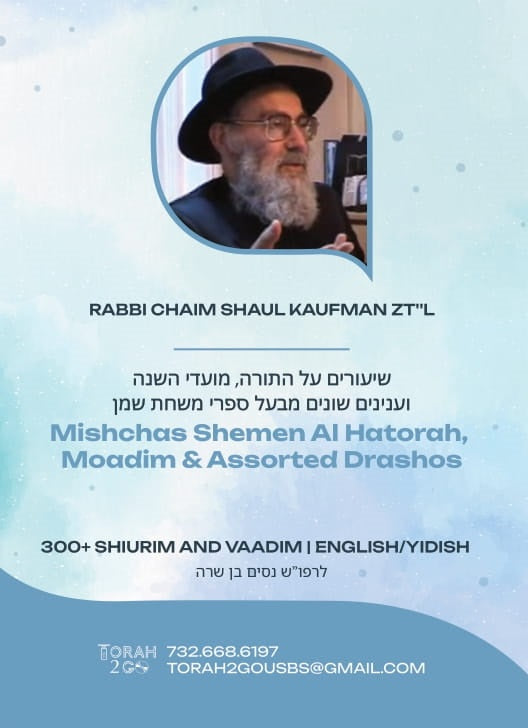 Torah 2 Go: R' Chaim Shaul Kaufman Shiurim (USB)