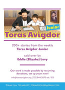 Torah 2 Go: Toras Avigdor Junior (USB)