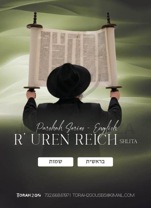 Torah 2 Go: R' Uren Reich Parshah Series English - Berishis & Shemos (USB)