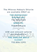 Torah 2 Go: R' Yitzchok Issac Silber - Shalom Bayis (USB)