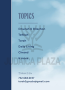 Torah 2 Go: The R' Paysach Krohn Collection (USB)