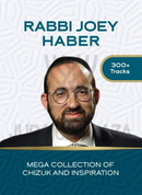 Torah 2 Go: Rabbi Joey Haber Mega Collection (USB)