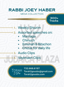 Torah 2 Go: Rabbi Joey Haber Mega Collection (USB)