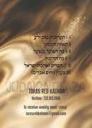 Torah 2 Go: R' Kalman Krohn - 19 Vaadim (USB)