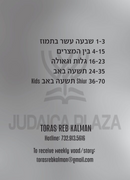 Torah 2 Go: R' Kalman Krohn - Tisha B'Av (USB)