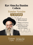 Torah 2 Go: Rav Simcha Bunim Cohen on Yomim Noraim (USB)