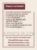 Torah 2 Go: R' Yosef Viener - Sefer Shmuel 1-2 (USB)